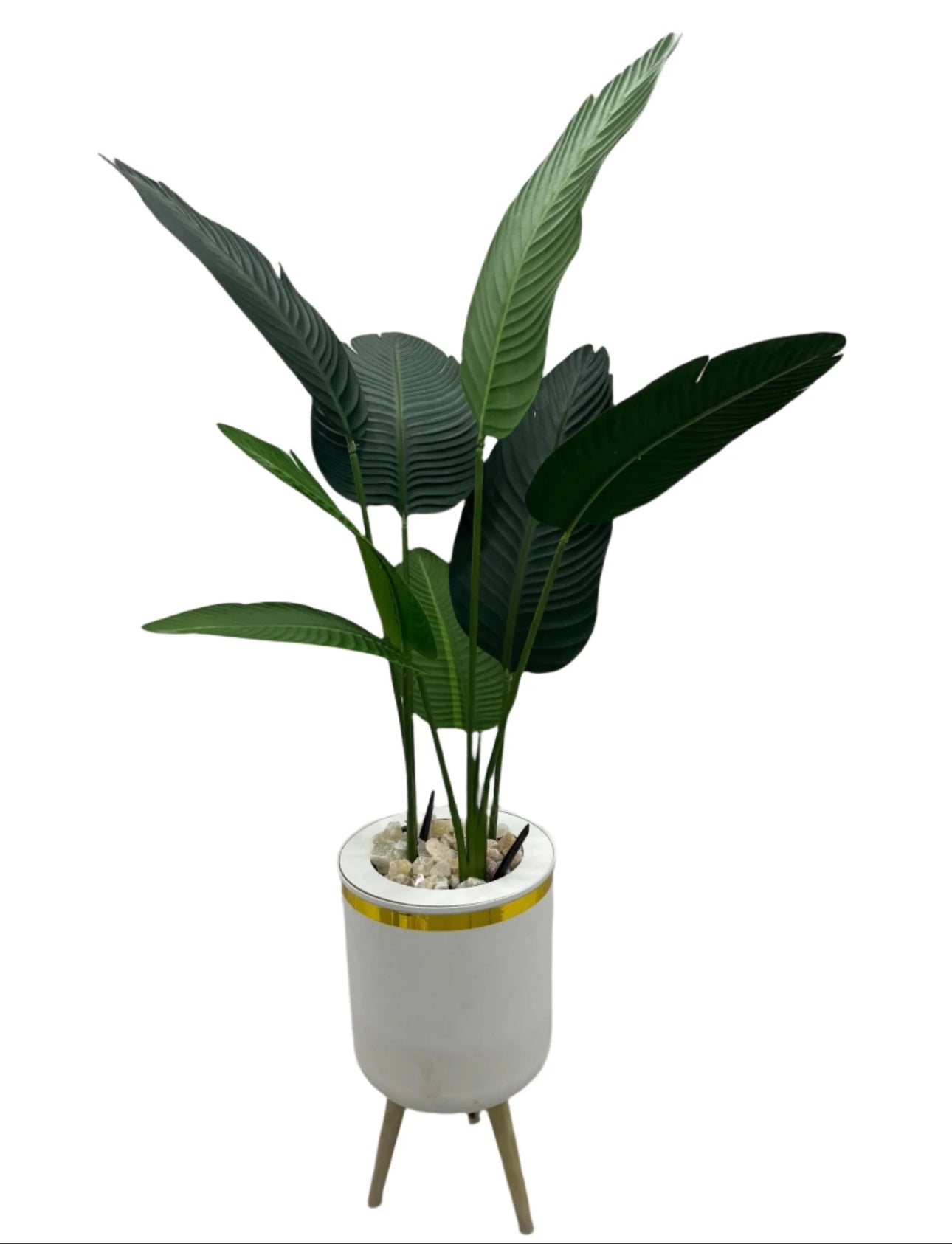 Premium Artificial Bird of Paradise Plant in Decorative White Planter